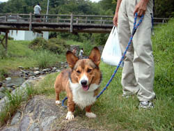 あゆ公園