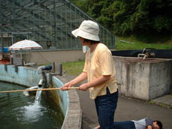 あゆ公園