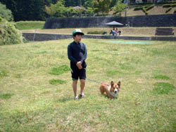ゆめさき夢の里農業公園