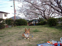 ぞうさん公園