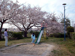 ぞうさん公園