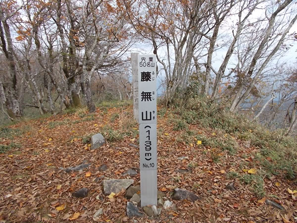 藤無山