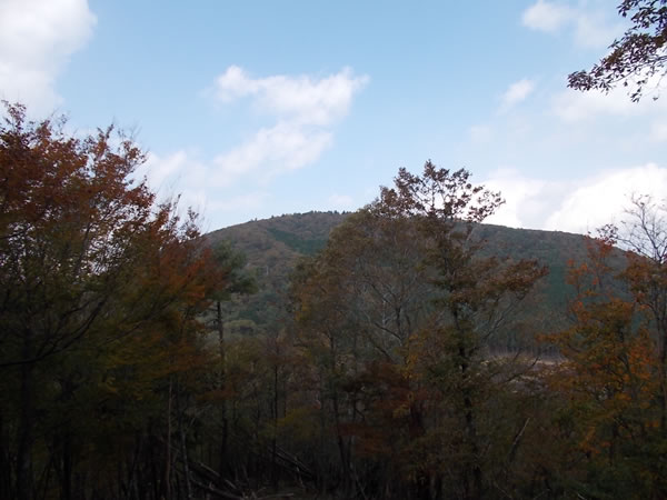 一山