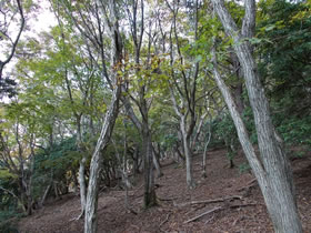 一山