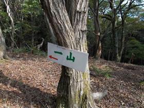 一山