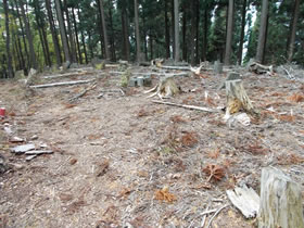 高野峠への案内板。