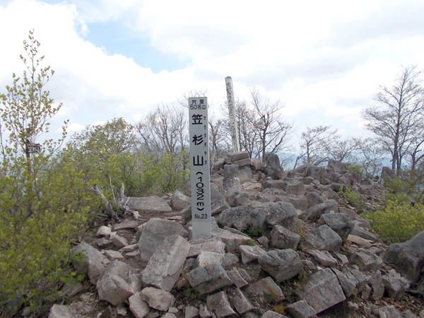 笠杉山