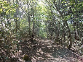 駒の尾山・船木山・後山そして鍋ヶ谷山