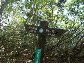 駒の尾山・船木山・後山そして鍋ヶ谷山