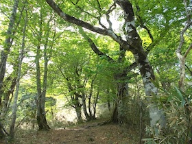 後山・船木山・駒の尾山