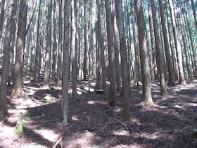 三郡山