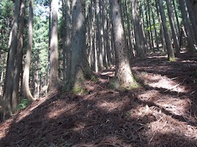 三郡山