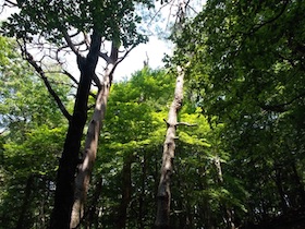 三郡山