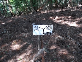 三郡山