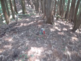 三郡山