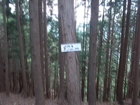 三郡山