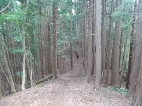 三郡山