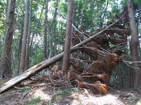 三郡山