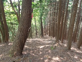 三郡山
