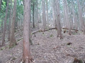 三郡山