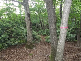 三郡山