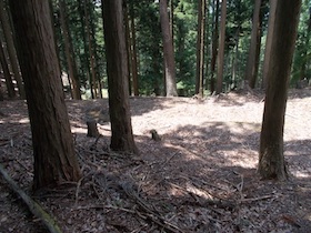 三郡山