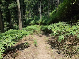 三郡山
