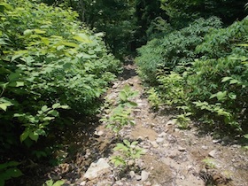 三郡山