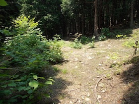 三郡山