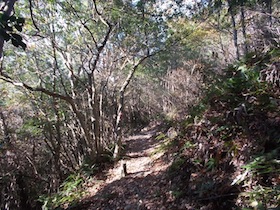 五峰山