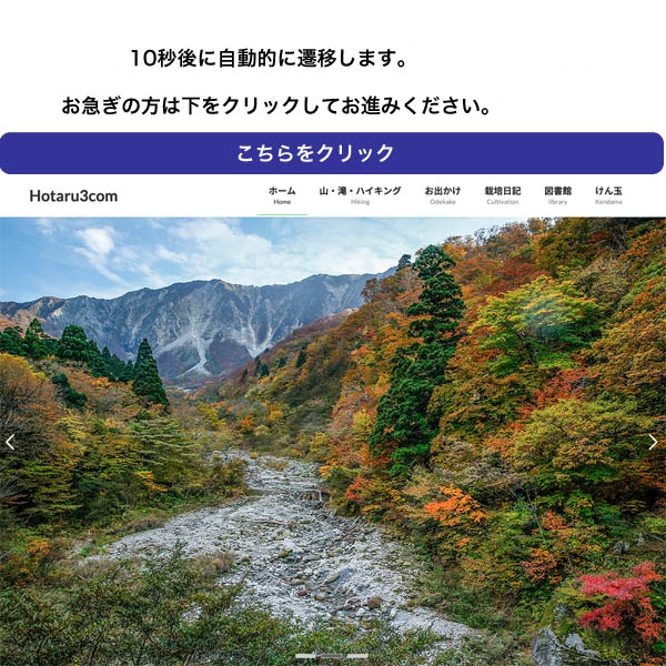 お引っ越ししました