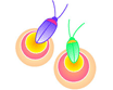 Hotaru3.com