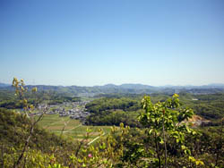 藤ノ木山