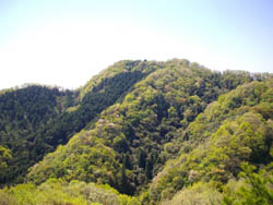 藤ノ木山