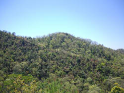藤ノ木山