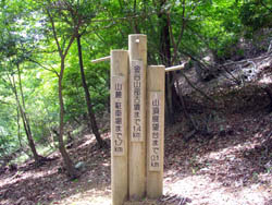 国見山