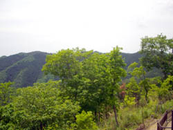 国見山