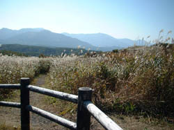 大山滝