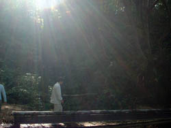 大山滝