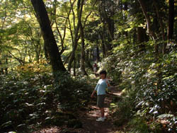 大山滝