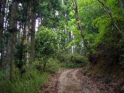 丹生山と帝釈山