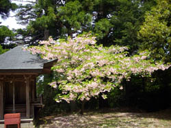 丹生山と帝釈山
