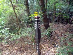 丹生山と帝釈山