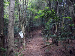 丹生山と帝釈山