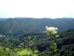 船上山
