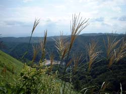 船上山