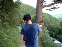 船上山