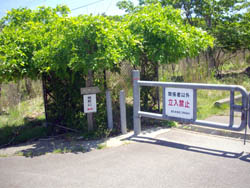 暁晴山