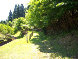 太田滝