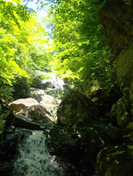 太田滝